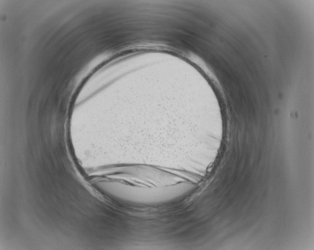 X0000082701237200702232222