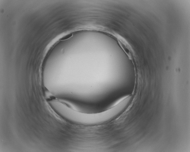 X0000082701238200702232222