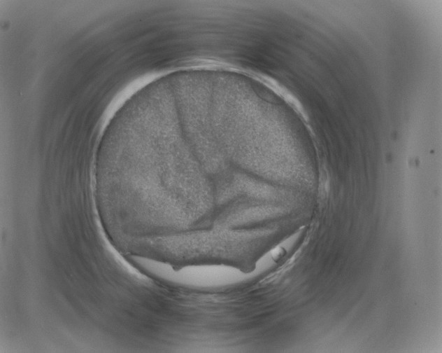 X0000082701239200702232222