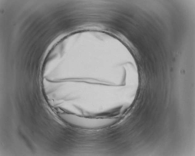 X0000082701240200702232222