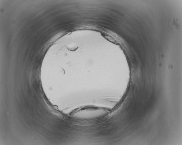 X0000082701241200702232222