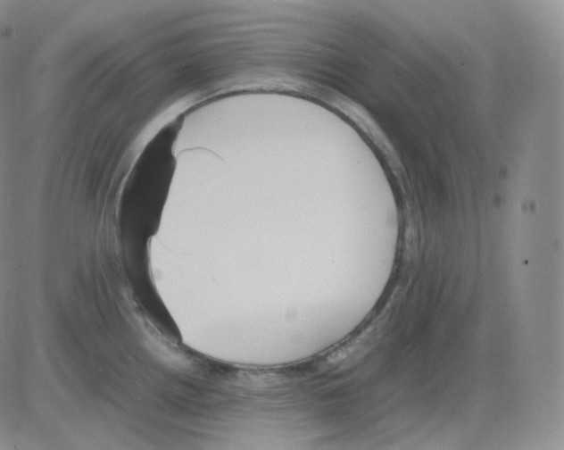 X0000082701242200702232222