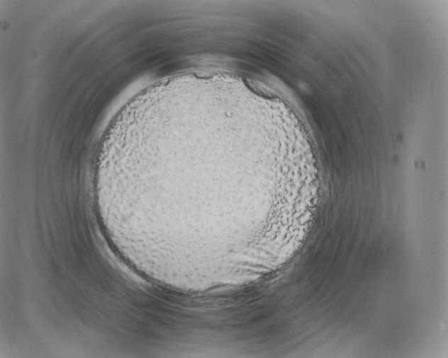 X0000082701243200702232222