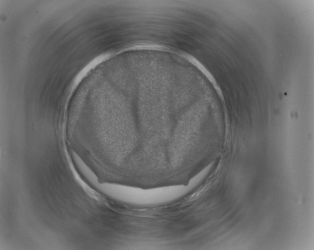 X0000082701245200702232222