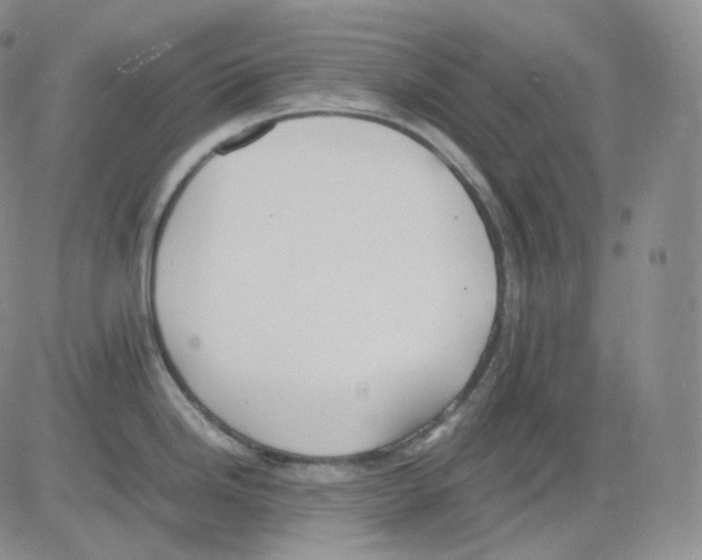 X0000082701246200702232222