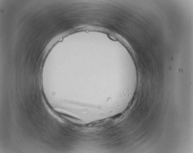 X0000082701247200702232222