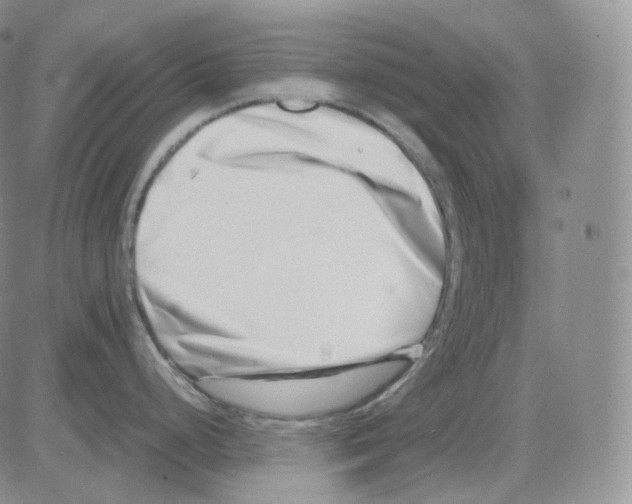 X0000082701248200702232222