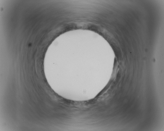 X0000082701249200702232221