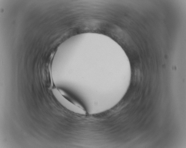 X0000082701250200702232221