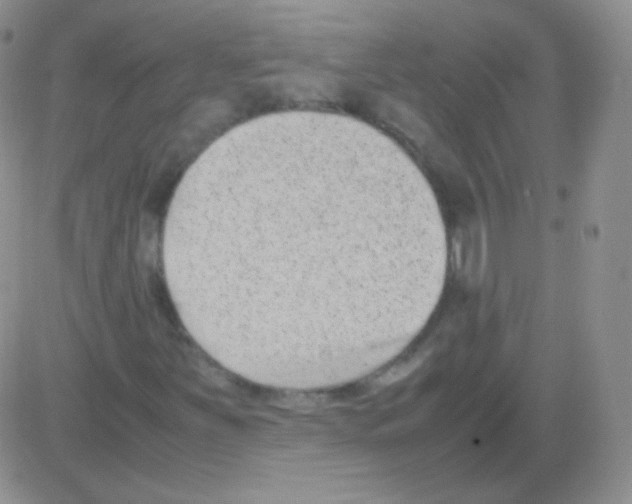 X0000082701251200702232221