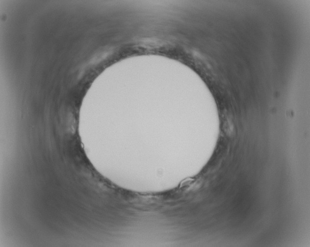 X0000082701253200702232221