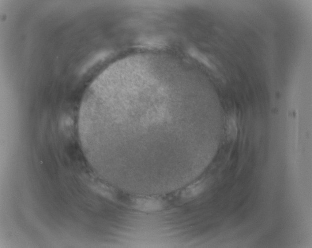 X0000082701254200702232221