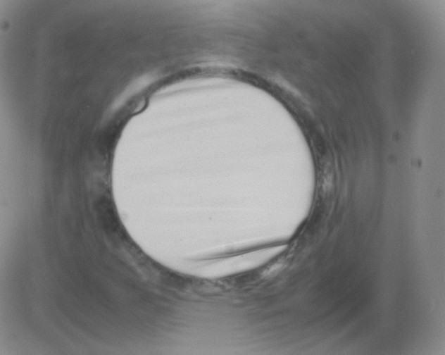 X0000082701255200702232221