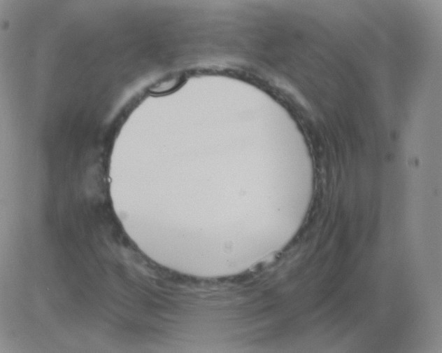 X0000082701256200702232221