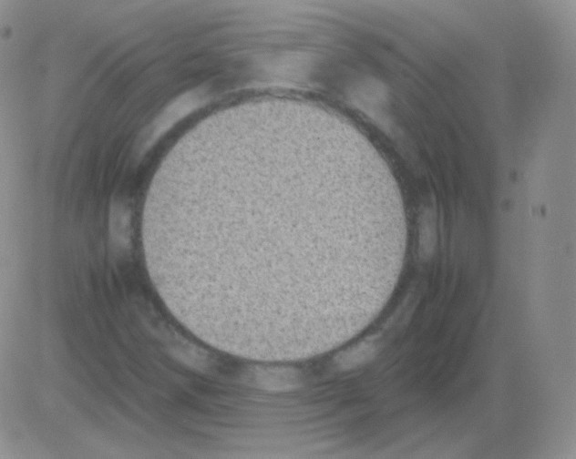 X0000082701258200702232221