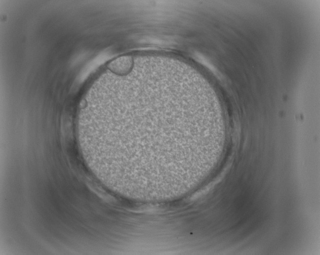 X0000082701259200702232221