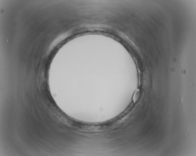 X0000082701261200702232221