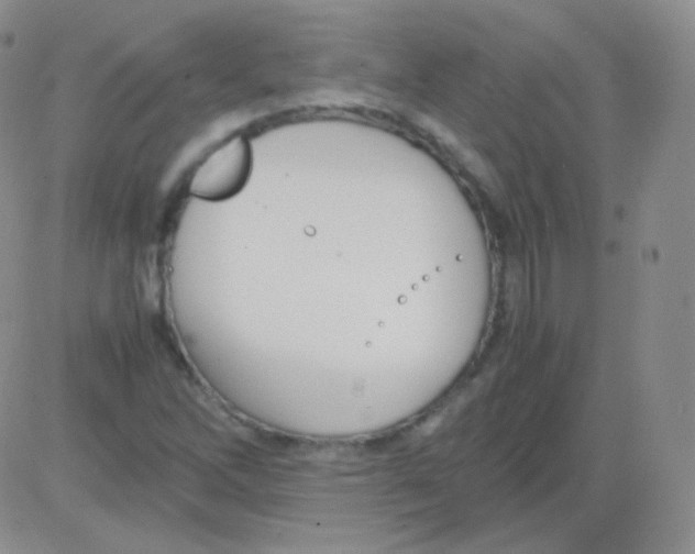 X0000082701262200702232221