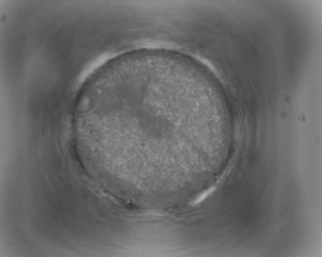 X0000082701263200702232221