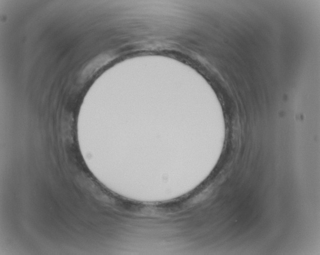 X0000082701265200702232221