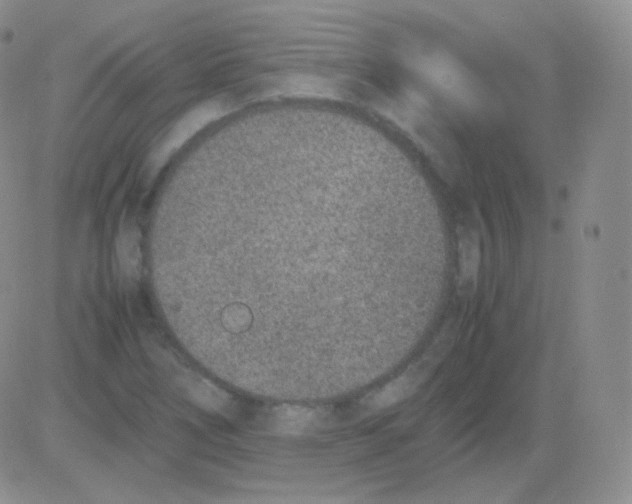 X0000082701266200702232221