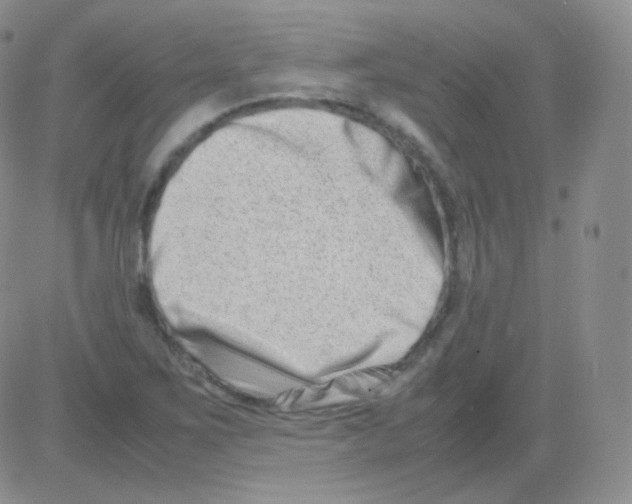 X0000082701267200702232221