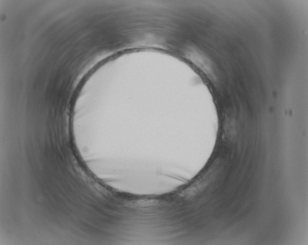 X0000082701268200702232221