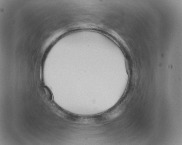 X0000082701269200702232221