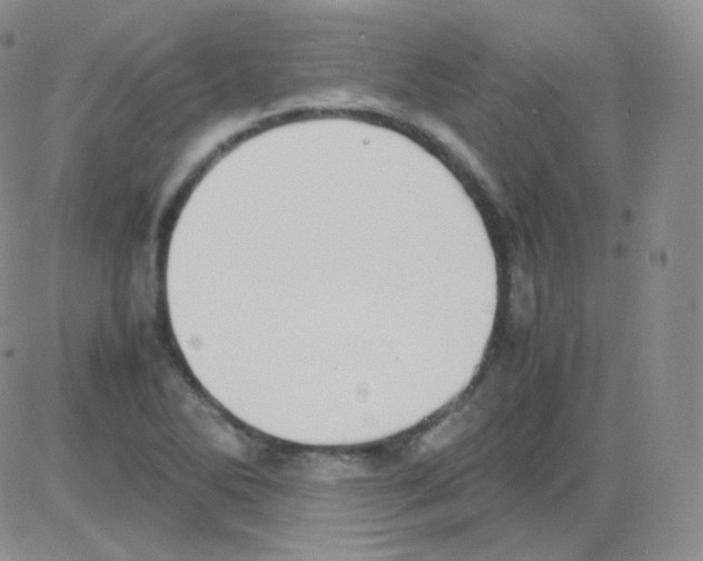 X0000082701270200702232221