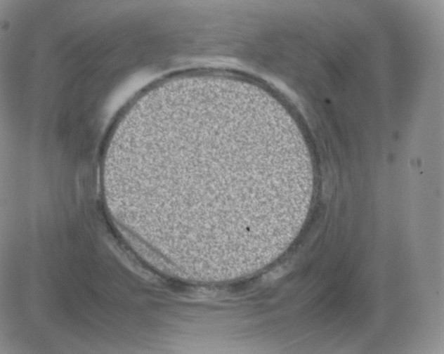 X0000082701271200702232221