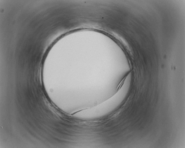 X0000082701272200702232221