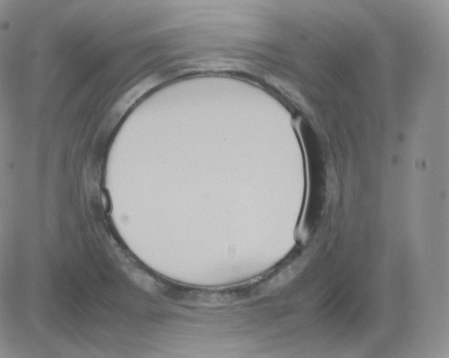 X0000082701273200702232221