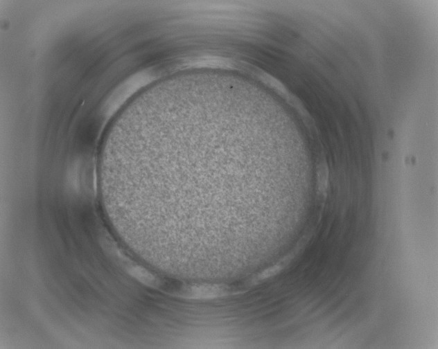 X0000082701274200702232221