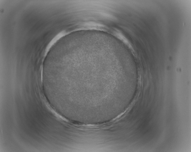 X0000082701275200702232221