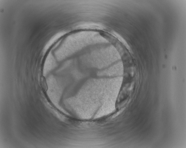 X0000082701277200702232221