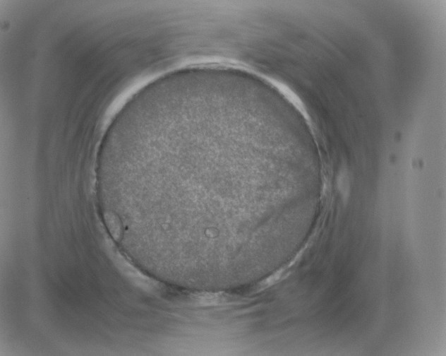 X0000082701279200702232221