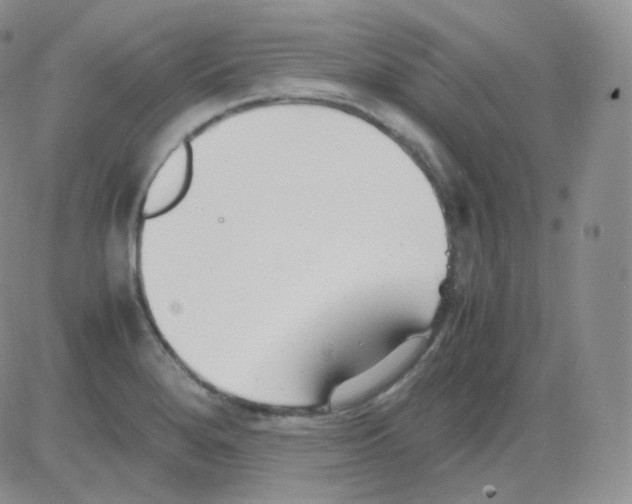 X0000082701280200702232221