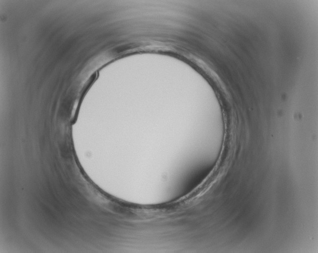 X0000082701281200702232221