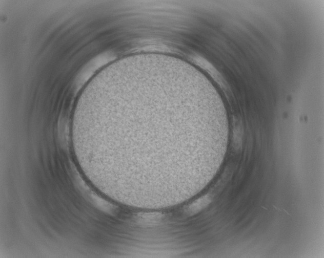 X0000082701282200702232221