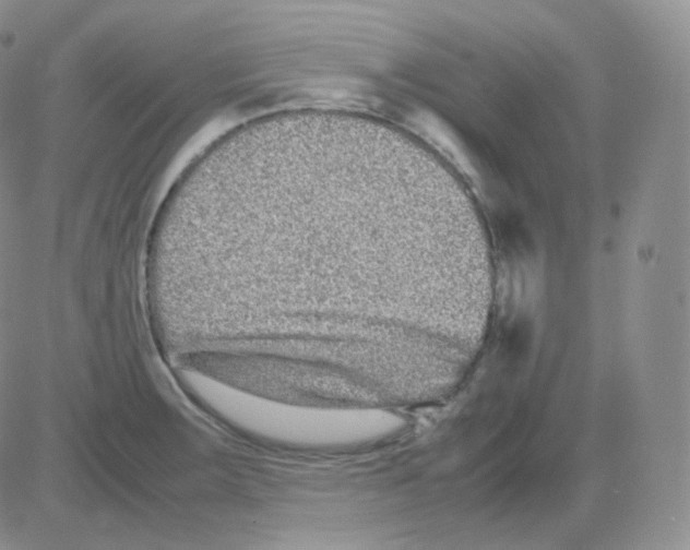 X0000082701283200702232221