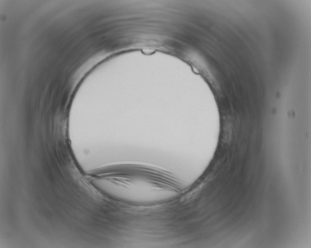 X0000082701284200702232221