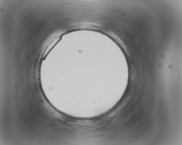 X0000082701285200702232221