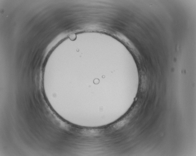 X0000082701286200702232221