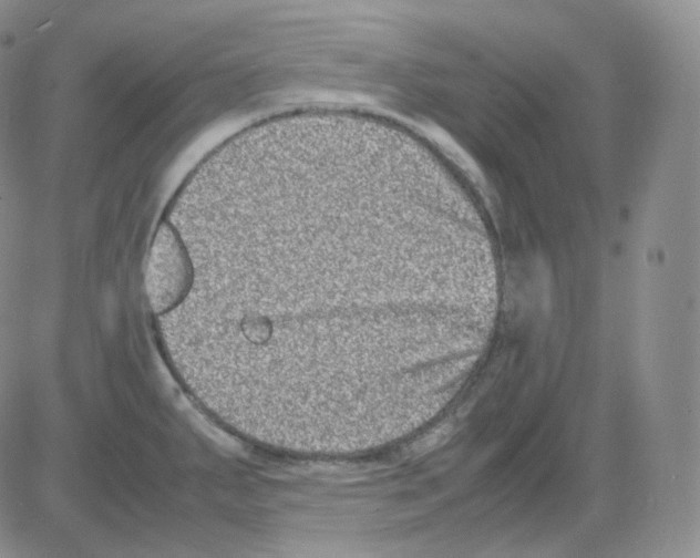 X0000082701287200702232221