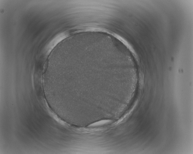 X0000082701289200702232221