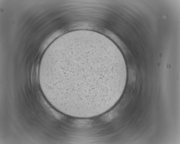 X0000082701290200702232221