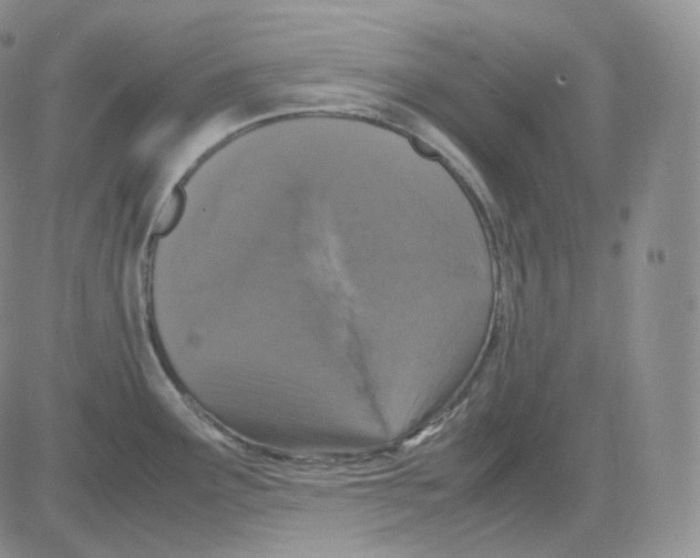 X0000082701291200702232221