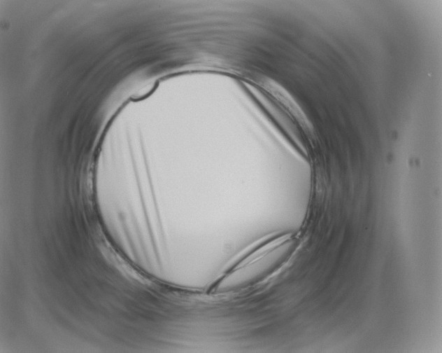 X0000082701292200702232220