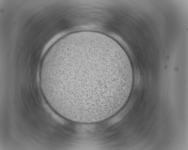 X0000082701294200702232220