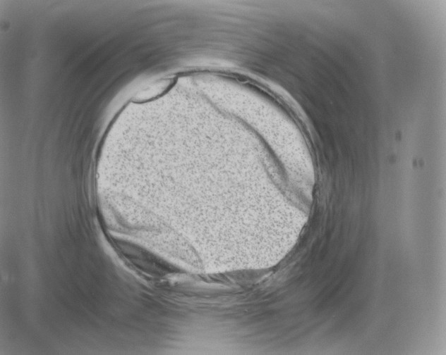 X0000082701295200702232220